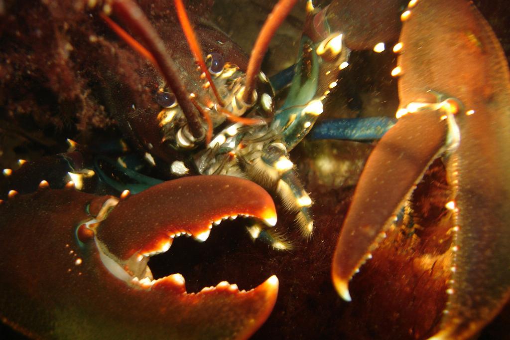 2008-10-18 10-34-24.JPG